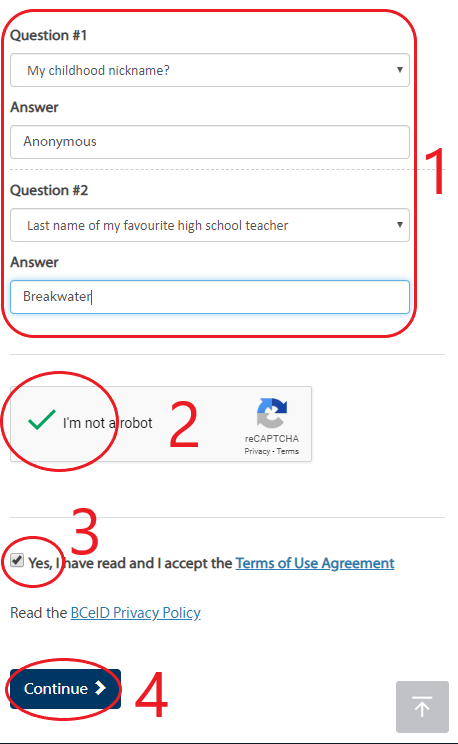 BCeID Register screen shot 1